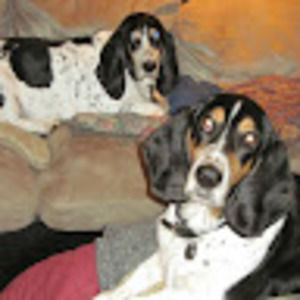 Meet your Posher, Patricia